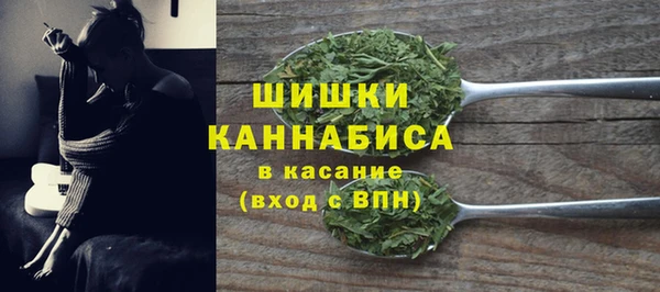 соль ск Бронницы