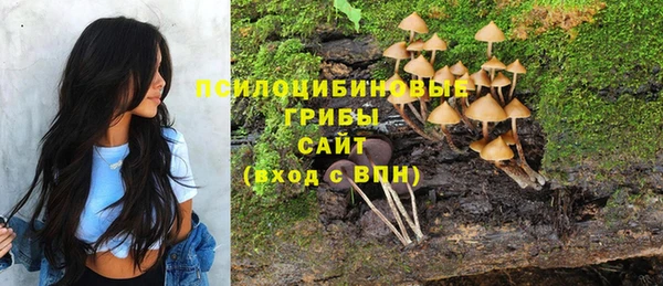 ALPHA-PVP Богородск